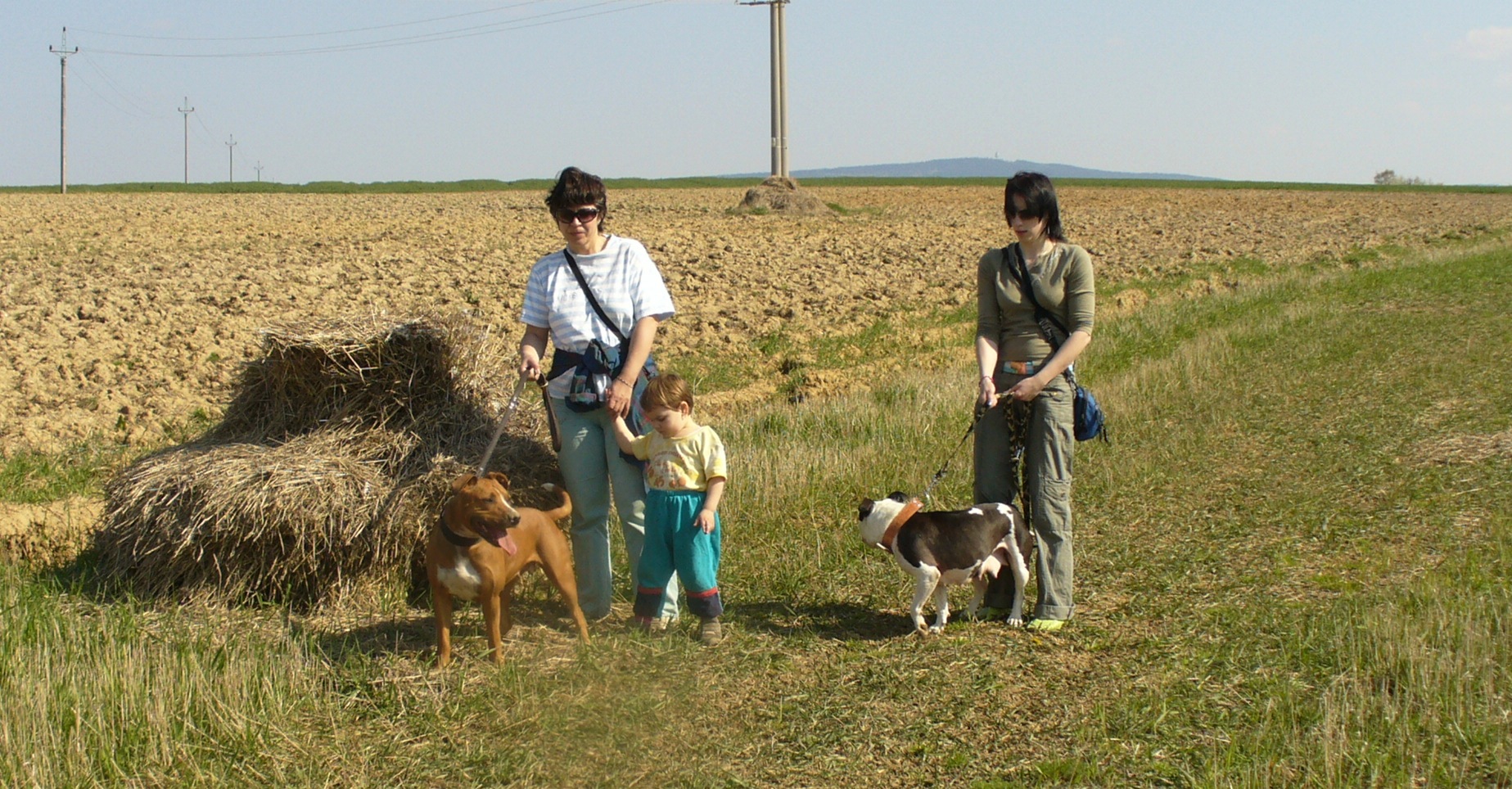 P1020158.JPG